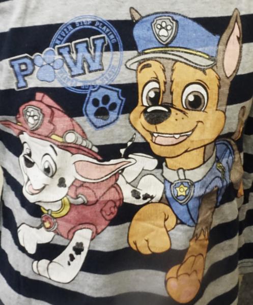 Langarmshirt Gr. 104 von Paw Patrol (831)